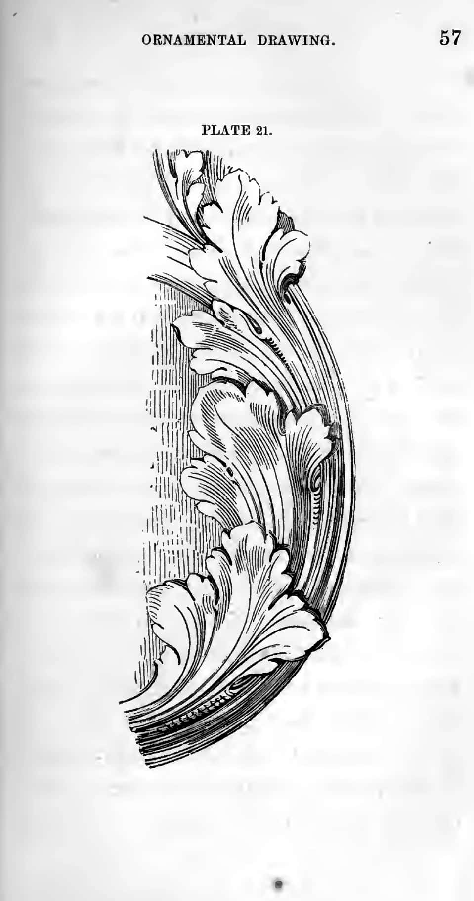 acanthus-plate-21-running-scroll-frieze