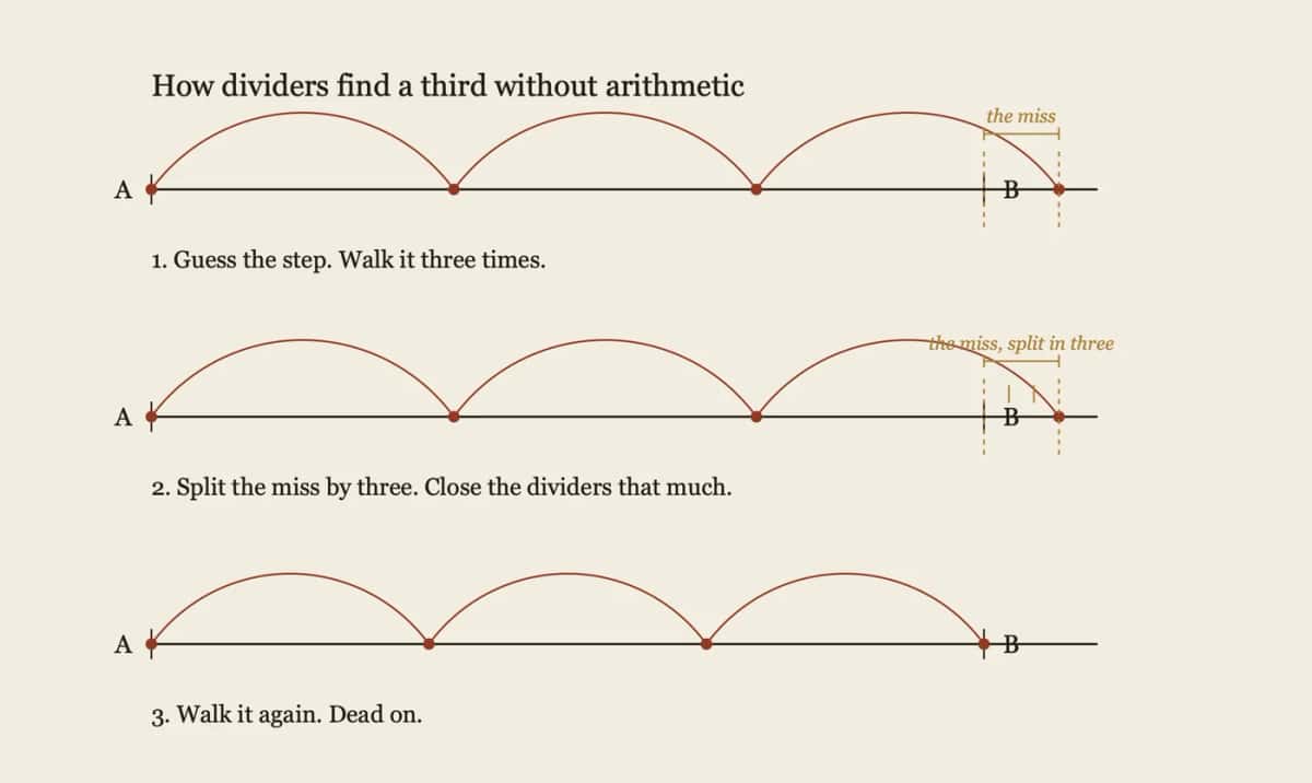 carving-layout-walking-out-dividers