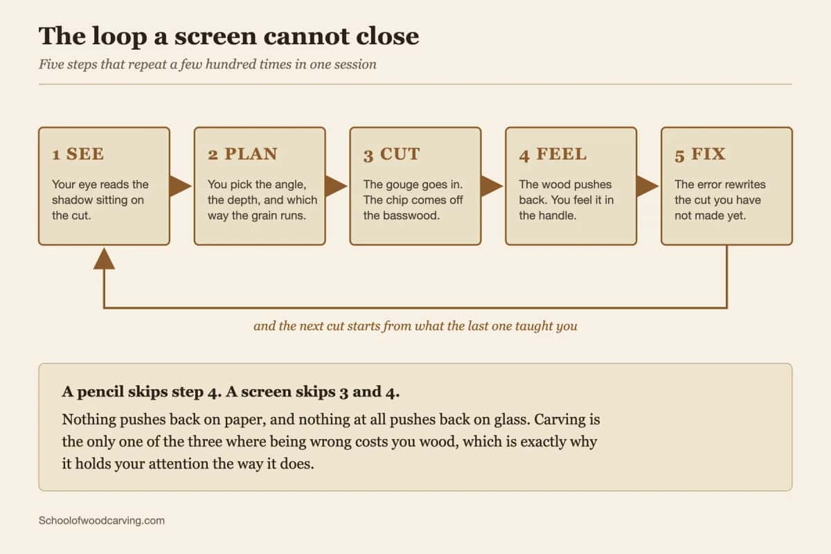 Diagram of the see, plan, cut, feel and fix loop that repeats through a carving session