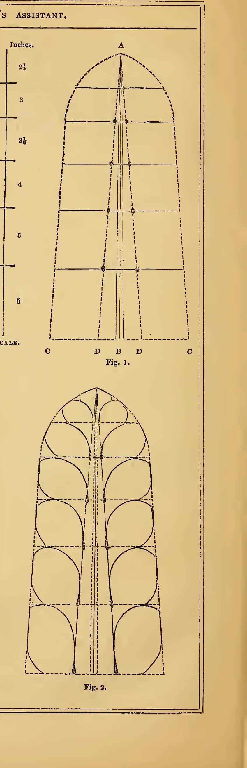 An 1847 plate building an acanthus leaf on a height line and a divided base
