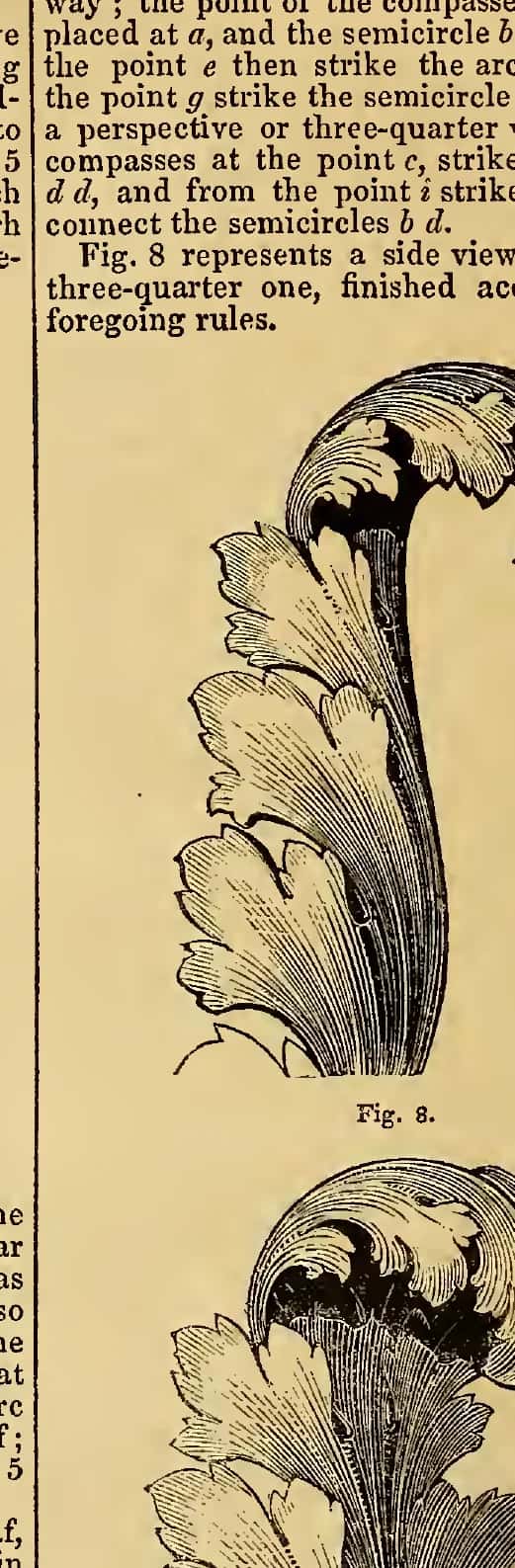 That leaf again with its head bent over, drawn from the side and in three quarter view