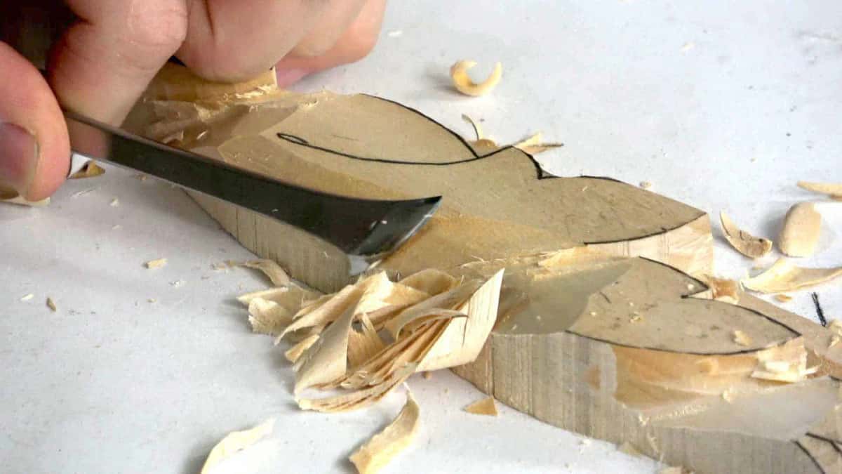 A wide gouge lifting long shavings as the ground drops