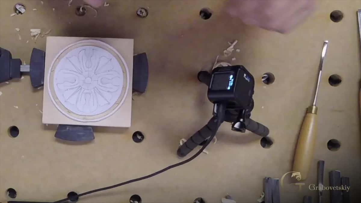 Rosette above the ground Rosette standing proud of a flat ground, seen from above with a digital gauge on the bench