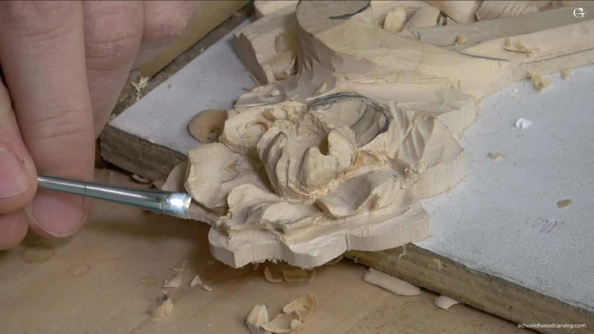 A small gouge rounding the petals of the rosette that closes the run of leaves