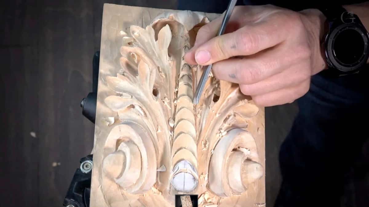 The middle rib from above Middle rib and its beads seen from straight above