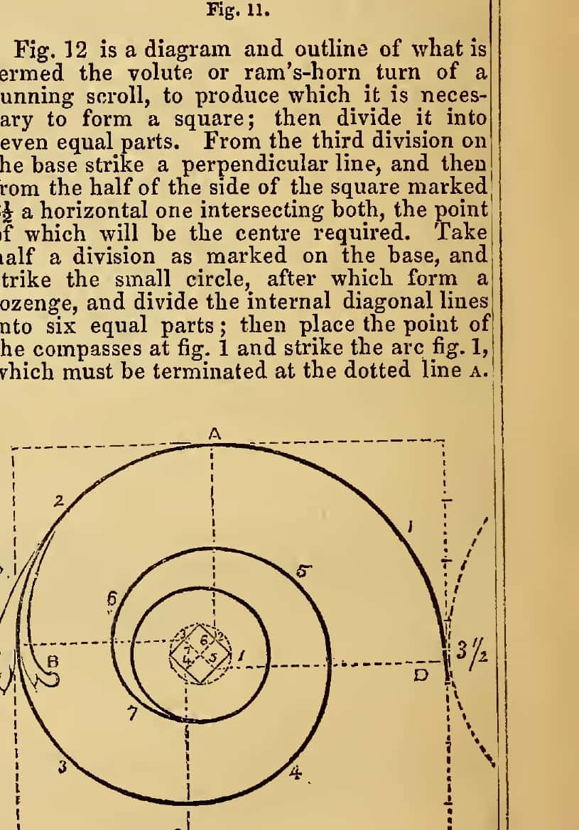 An 1847 volute inside a square of seven divisions, with scrollwork worked around it