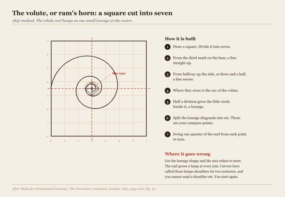 Diagram of a volute set out in a seven part square, eye and lozenge marked