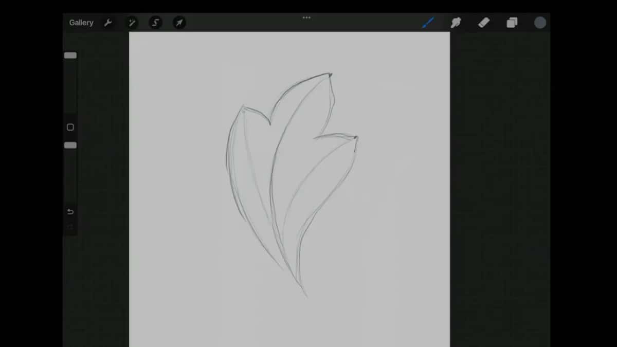 Pencil drawing on the tablet showing a leaf split by a centre line with one division to each side of it