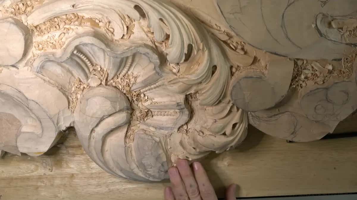 Venice acanthus head in lime, beaded shell at its center, lobes still rough below.