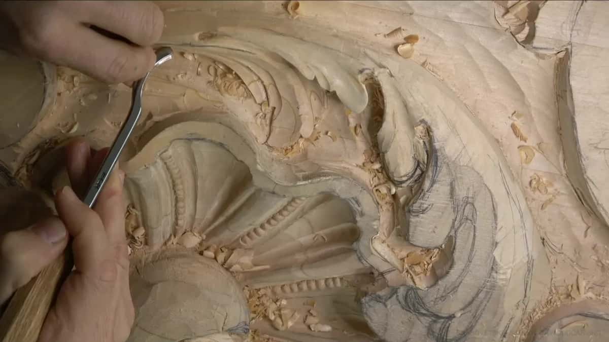 Both hands hold a bent gouge inside the hollow that runs beside the scalloped edge of the shell.