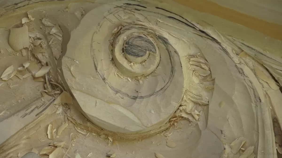 Volute rolled to its centre with pencil lines still on it