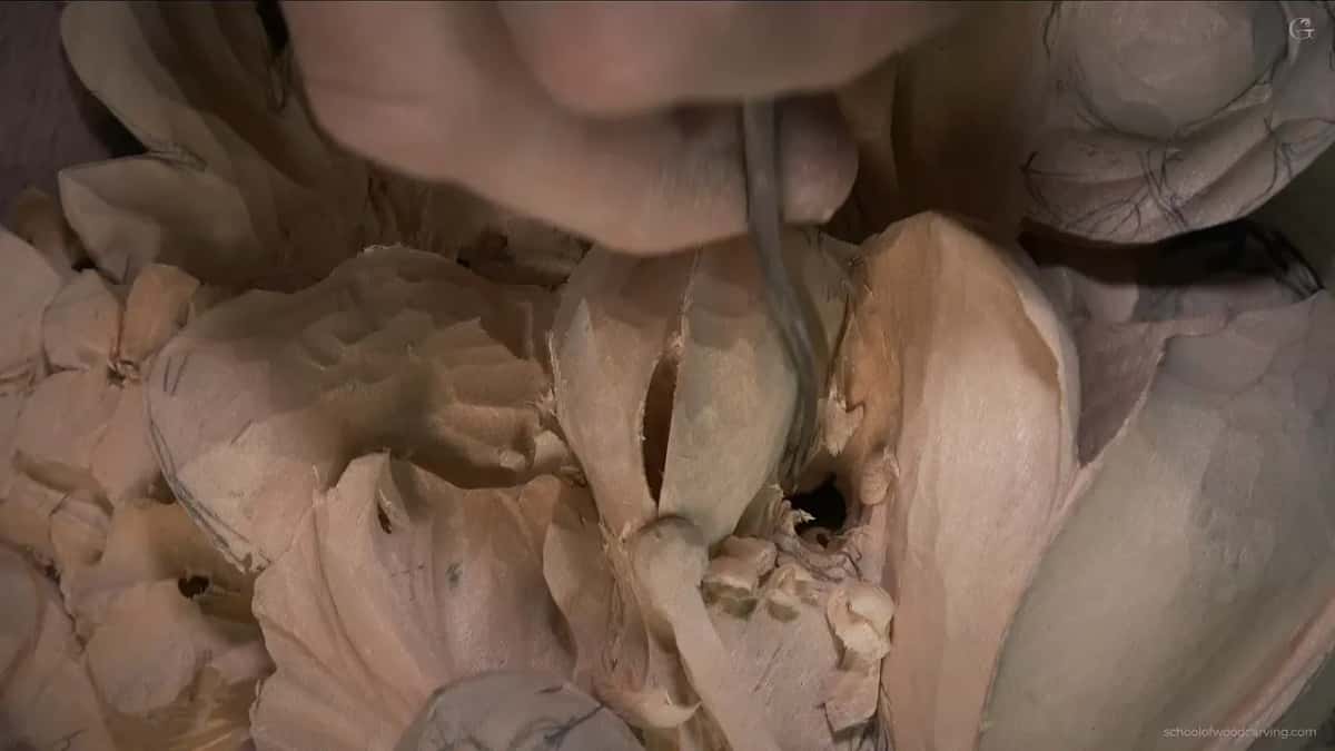 Close in on the tulip, the blade turned over inside the petal wall and a dark hole already open beside it