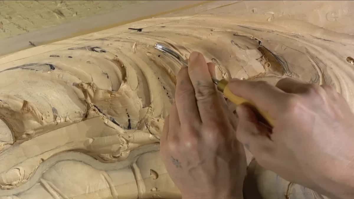 Two hands guide a bent tool with a pale handle near the upper lobes of the leaf.