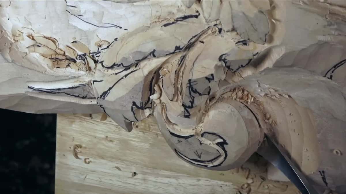 Under the edge of the rolled lobe, a gouge blade slides in from the lower right.