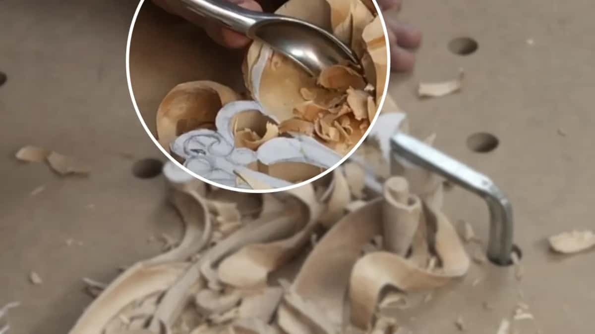 Inside a magnifying circle, a spoon gouge sits in the hollow among chips