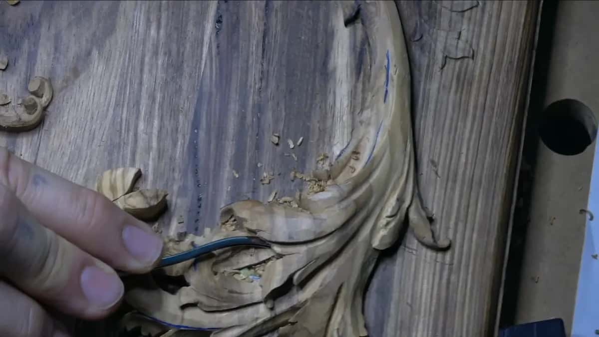 A bent little gouge reaching under one lobe of the leaf