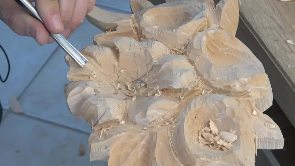 Round shanked gouge coming in at the edge of a petal, the whole flower head seen from above