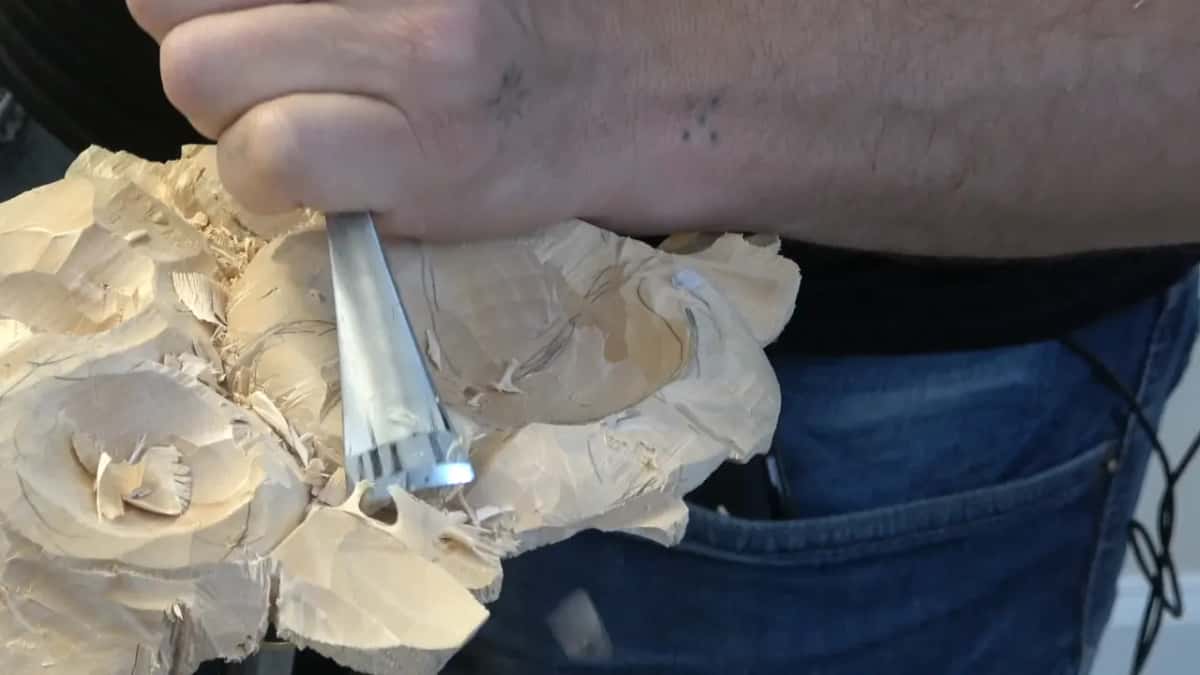 Deep V profile of the tool visible as it runs a line out from the middle of the flower