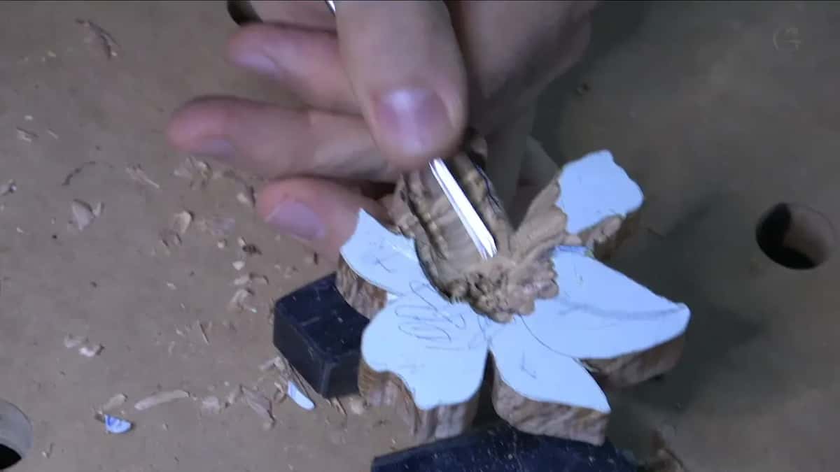 Blade under the rolled edge of a petal, with shavings piled on the bench