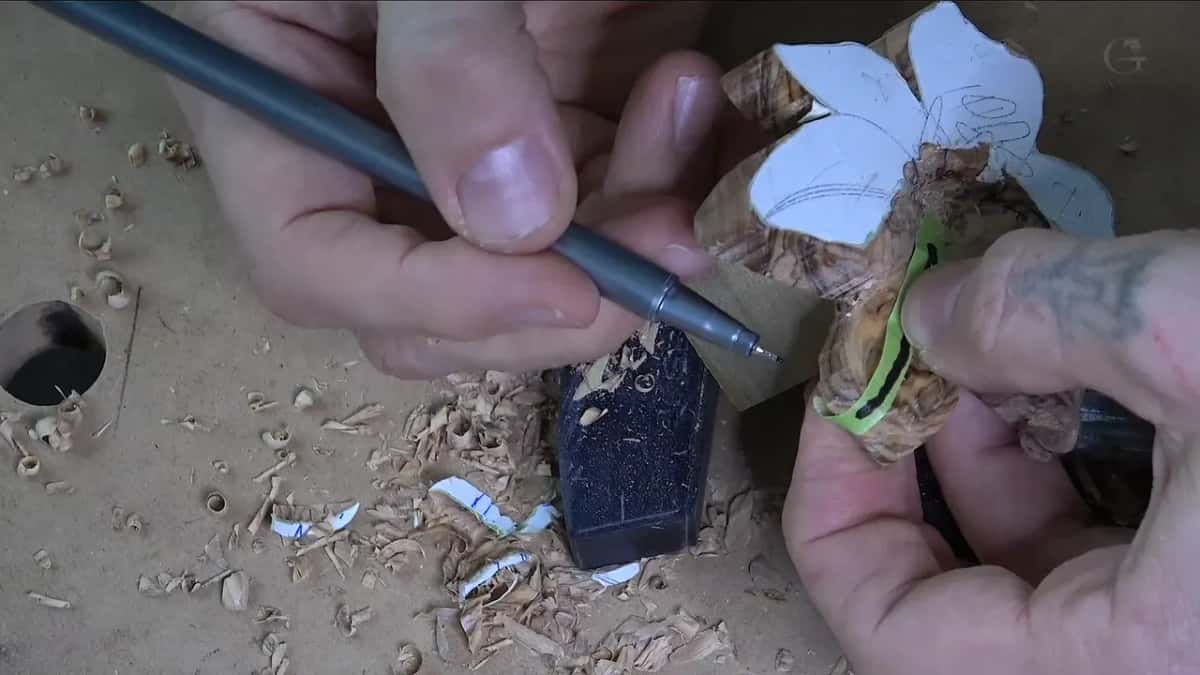 Marker on the back of the flower, the green strip with its black line beside it