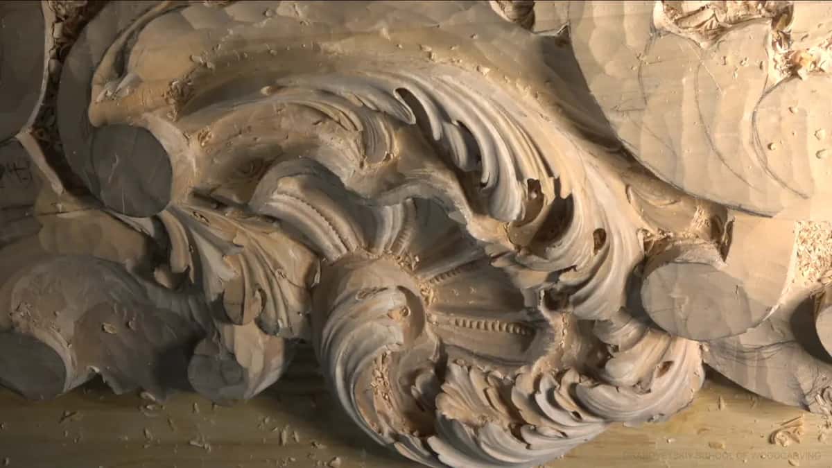 Lime acanthus head under a low side light, deep shadow sitting in the curls and hollows.