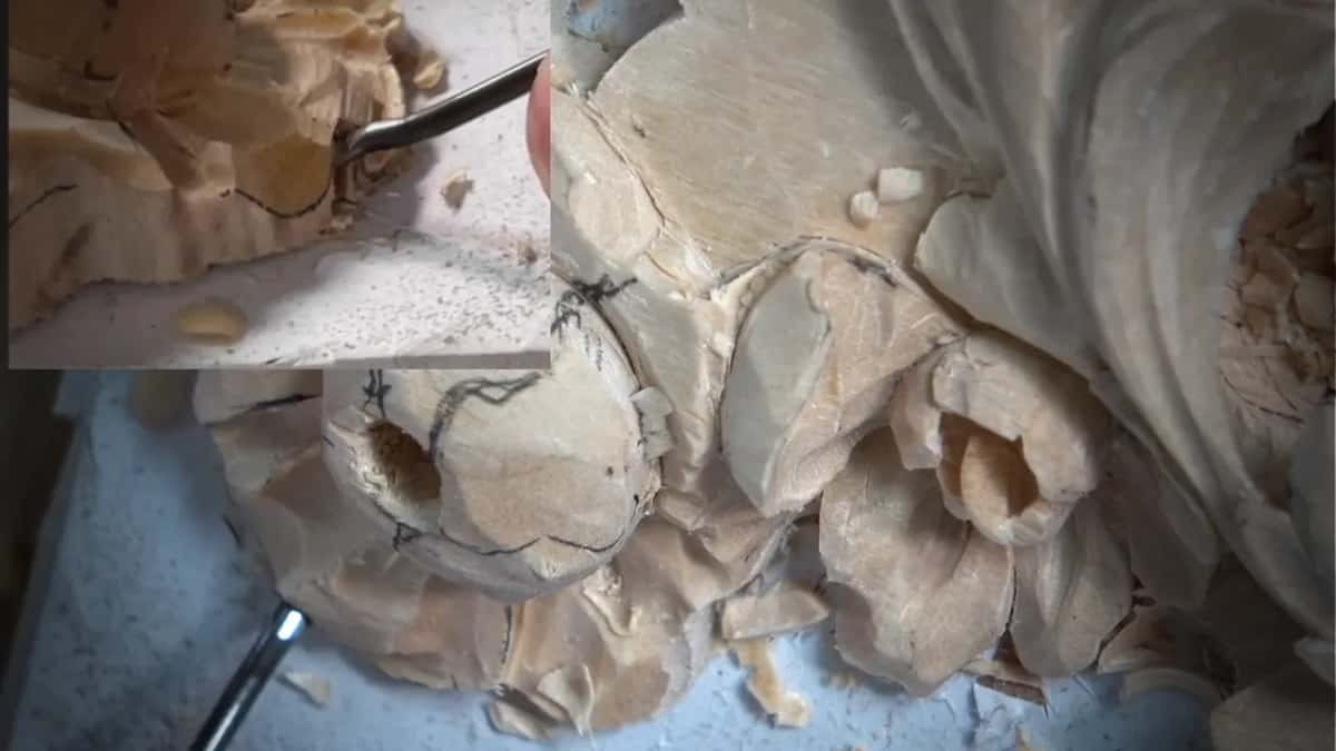 Half carved petals, with a small inset showing the same spot from an angle
