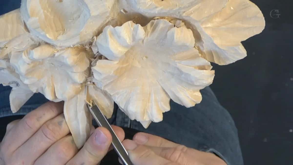 Both hands in close on the thinnest part of the leaf.