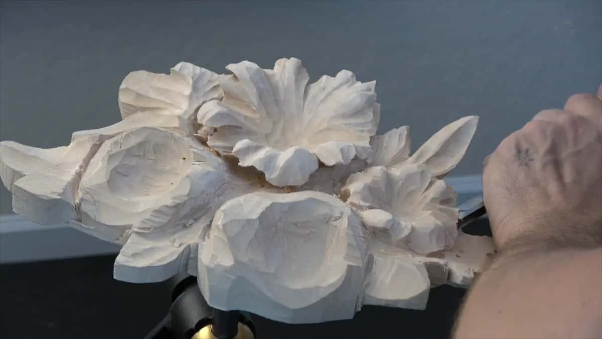 Seen from underneath, where the undercut opens a black line between leaf and background.