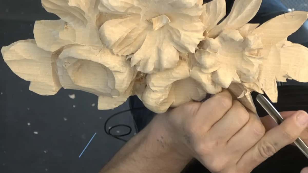 Carving completely against the grain here, and saying so out loud on camera.