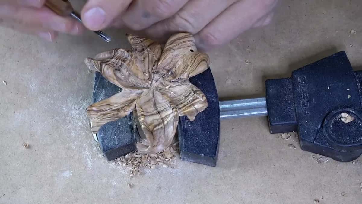 Carved lily petals in striped olive wood, clamped so I can reach in behind each one