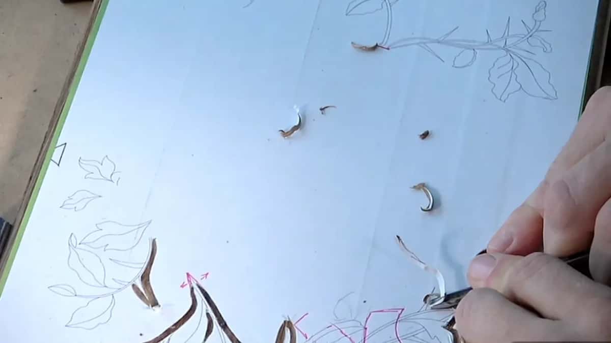 Thorn branches drawn in pencil on the pattern, with red arrows marking which way each one moves