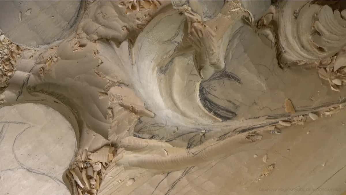 No hands here, just the lobe seen from its side, pencil strokes and all, with a flat round shape at left.