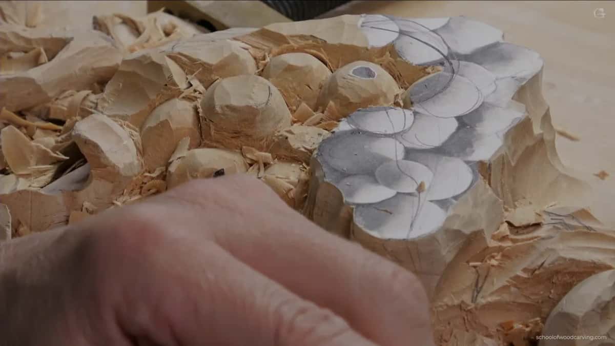 Close in among shavings