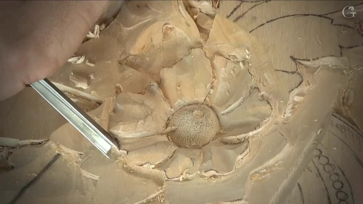Narrow gouge at the edge of one petal, the textured center of the flower just beyond its blade