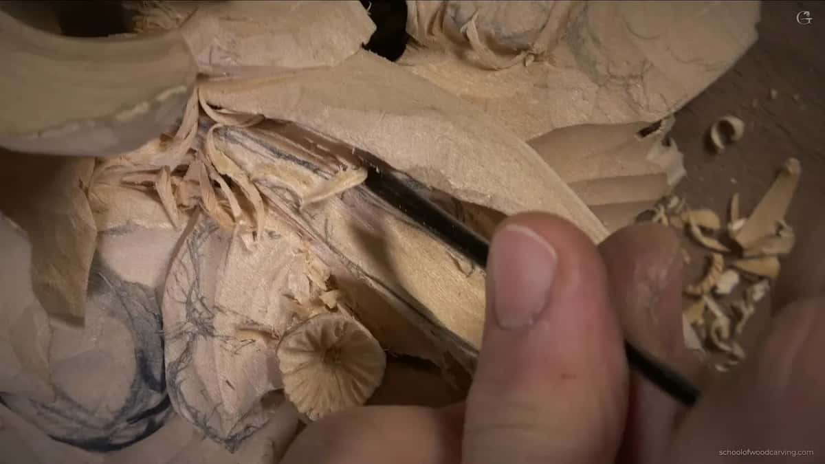 A narrow tool deep below the leaf edge, down where layer one shows through