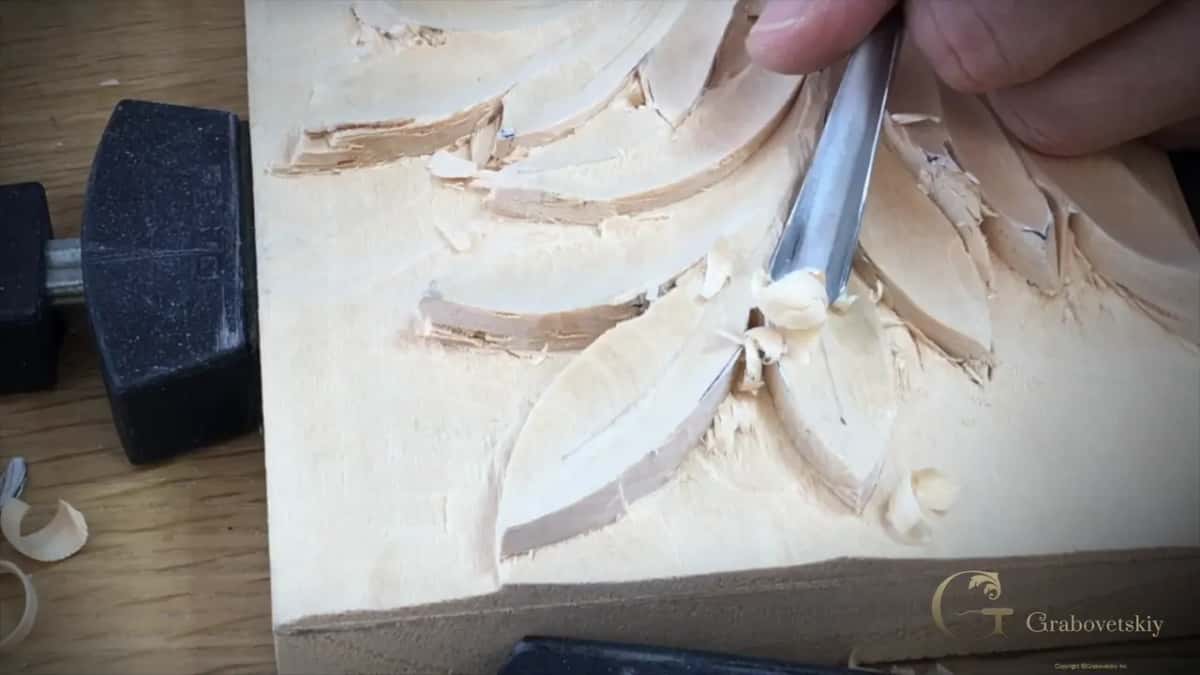 Gouge entering a lobe on the far side of the leaf, wood curling ahead of it.