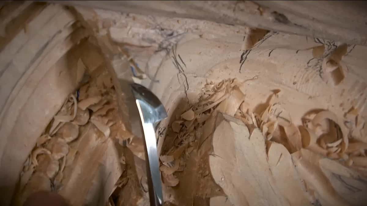 Curved bright blade