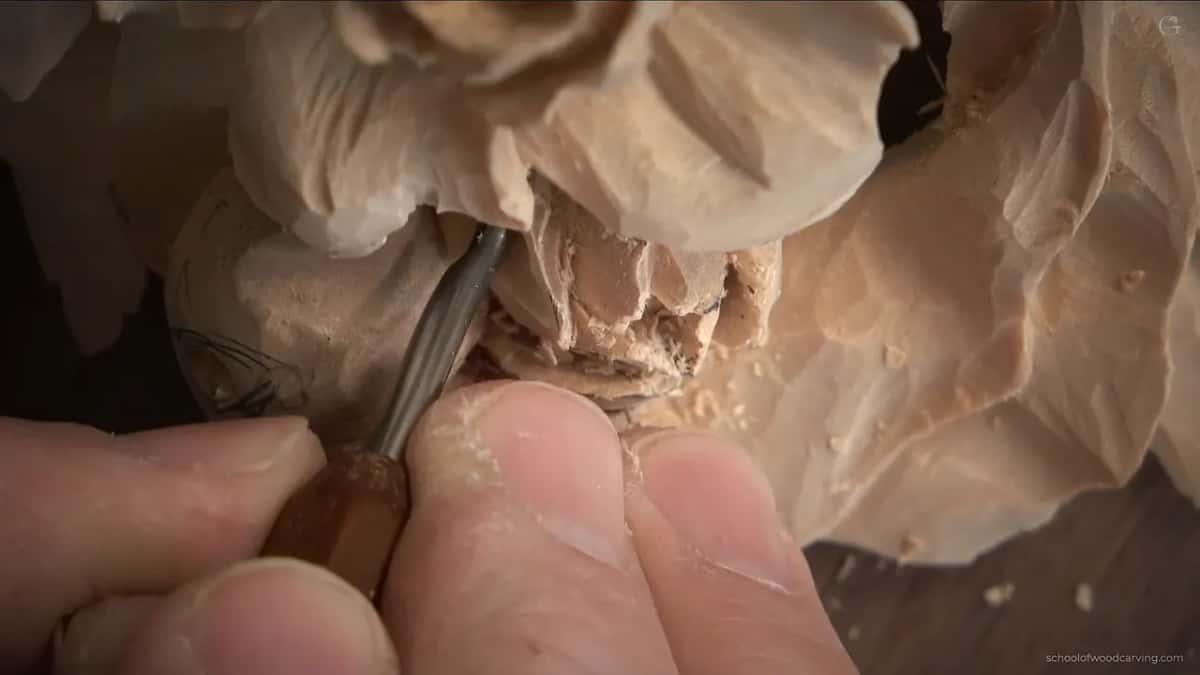 Fingers pinching a micro gouge against one small petal