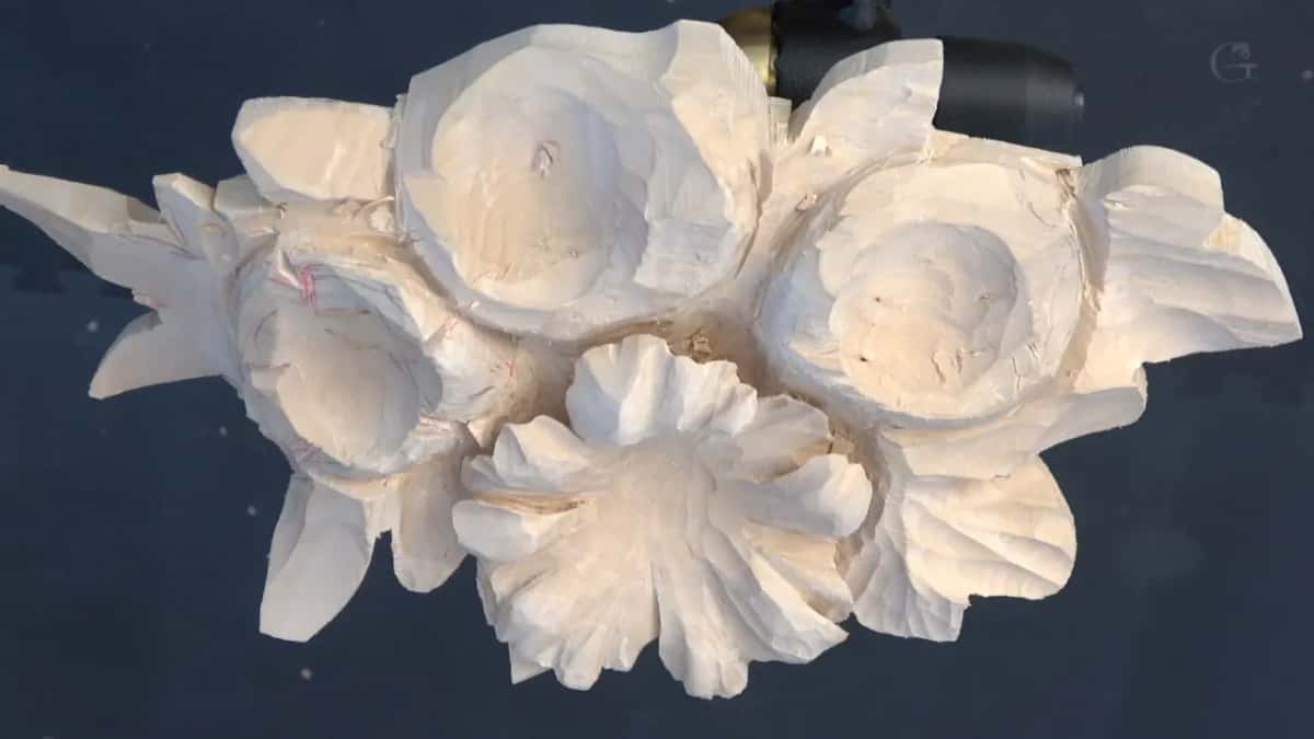 Bare panel from above, all four flowers waiting