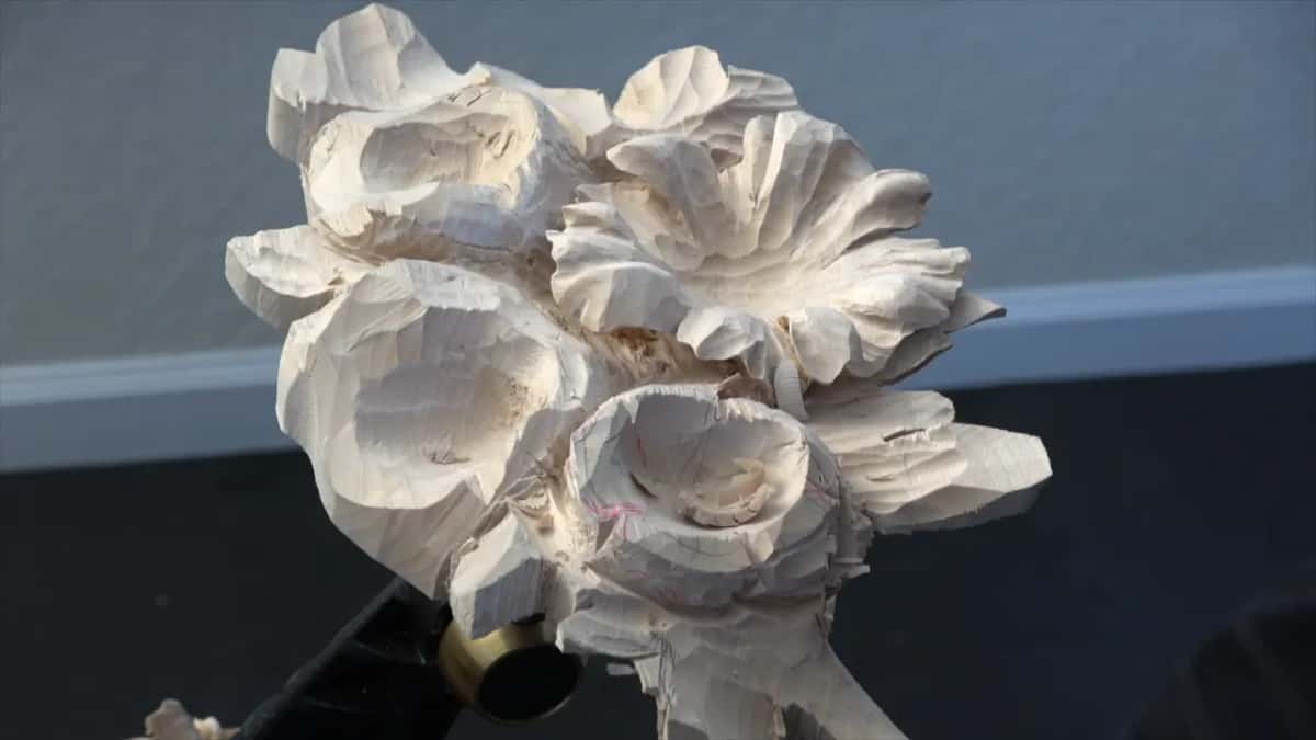 Flower head on its post in raking light