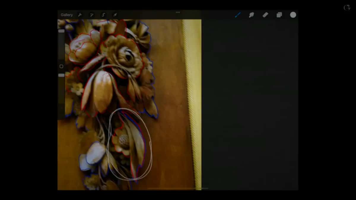 Tablet view of the marked up photograph, with a white ring drawn around the small flowers beneath the tulip