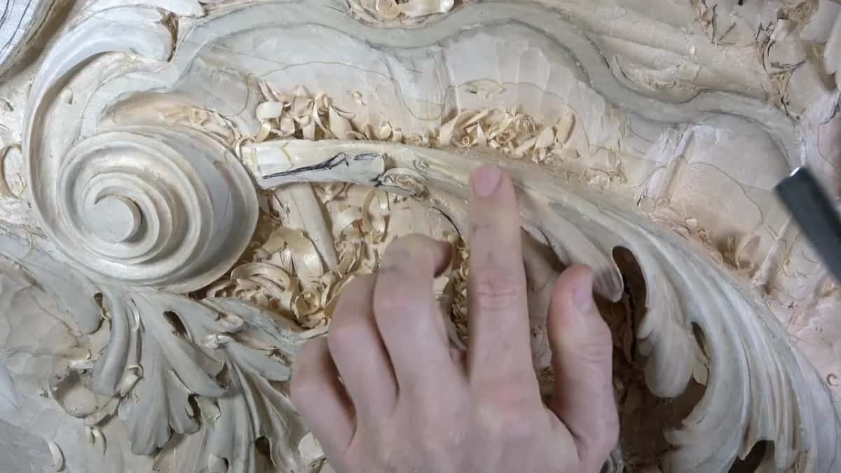 Fingertips on the leaf and a wide blade at right.