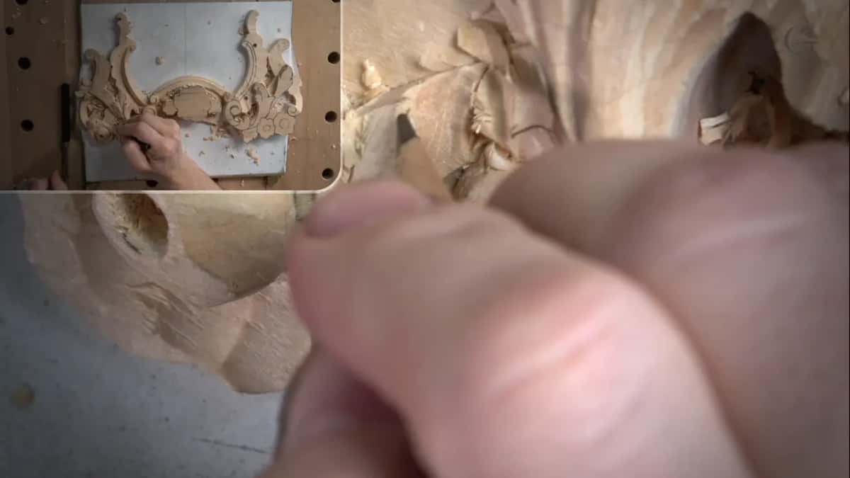 Three surface pattern repeated on the outside of the petal, concave then convex then concave once more