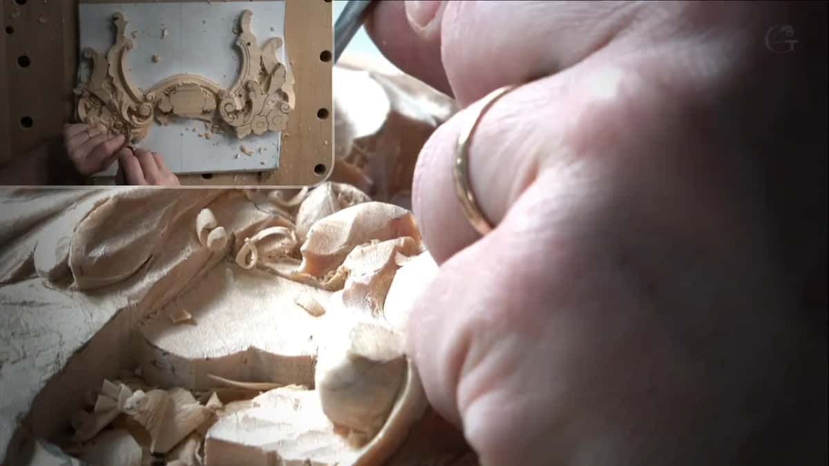 Wall of about one millimetre left where the petal ends