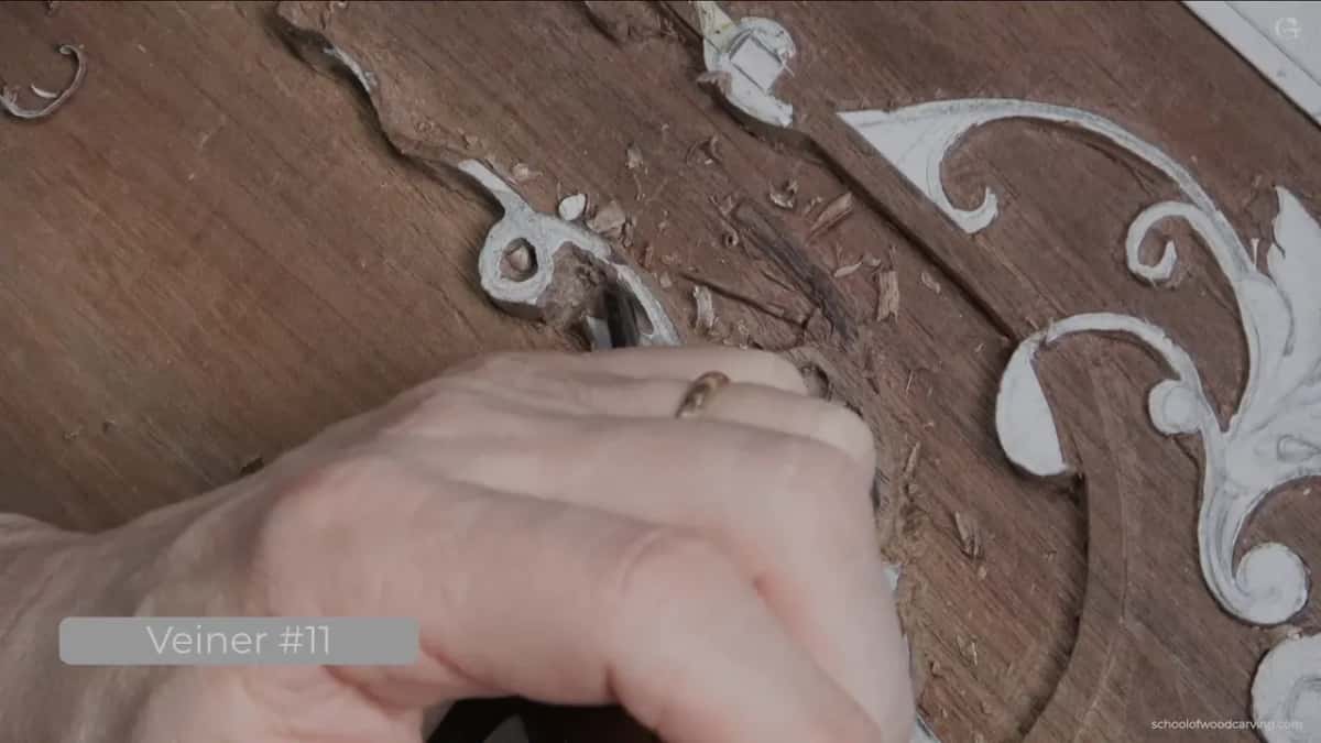 Ringed hand, veiner eleven.