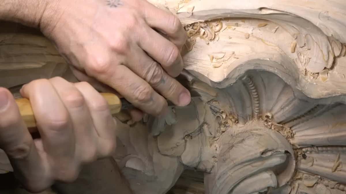 Gouge under the shell.