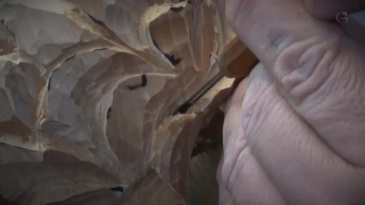 Fine tip going into the tightest corner on the flower.