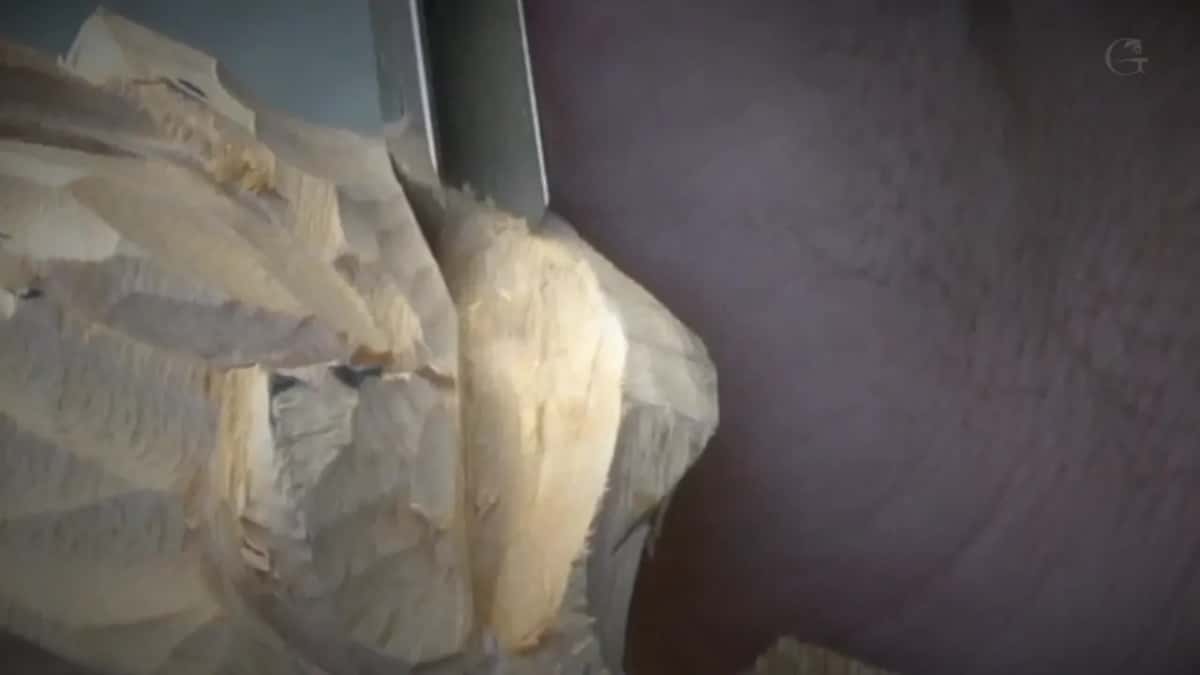 Gouge above a carved fold.