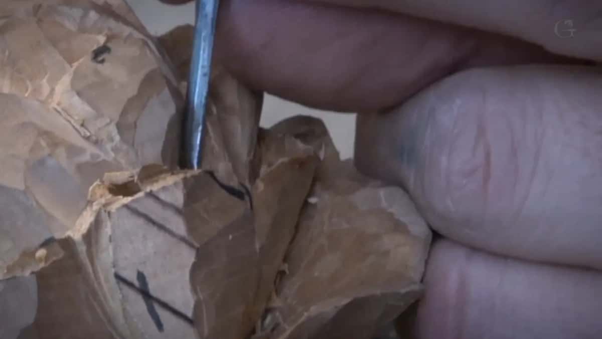 Needle down into a petal.