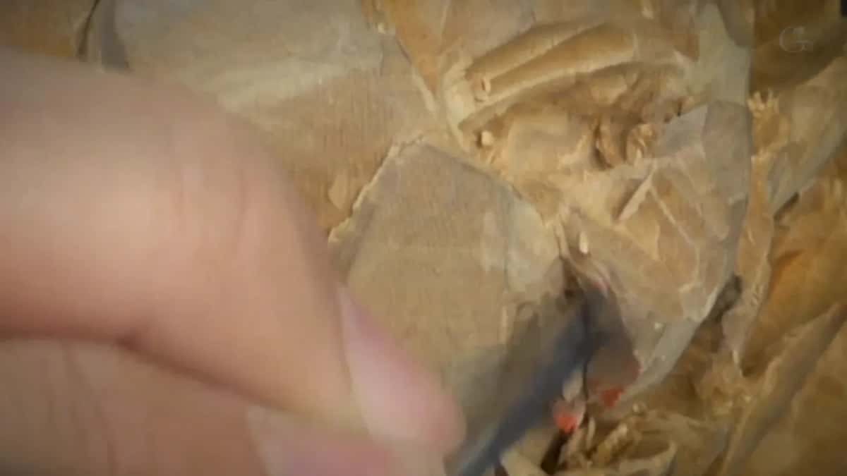 Hand blurred with movement, a gouge somewhere in it, warm chips everywhere across the bench.